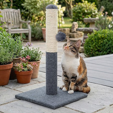 55CM TALL LARGE CAT SCRATCHING