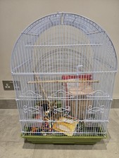 Budgie Cage