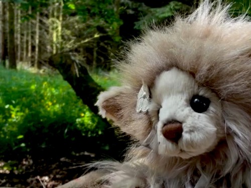 Charlie bears meadow - charlie, bears-meadow