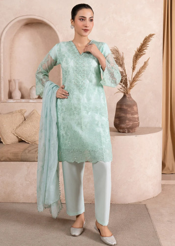 Chikan kari organza - kari, suit