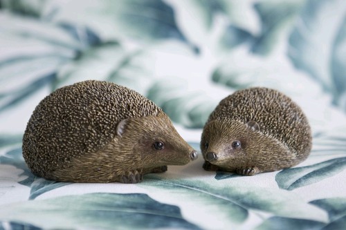 Pair resin garden - resin, hedgehogs