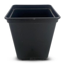 7cm Square Plant Pots Rigid