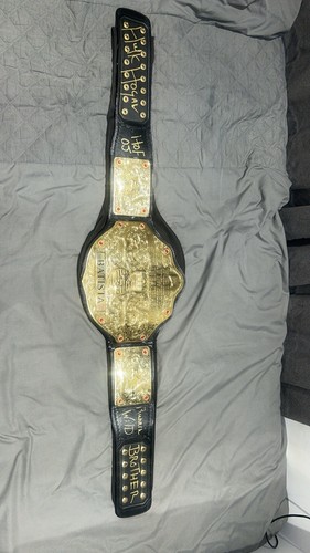 Wwe big gold belt - big, world