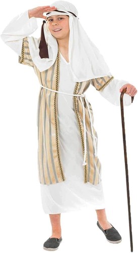 Boys gold shepherd - gold, costume