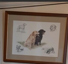 Original Labrador Drawings By Nigel Hemming, Signed. 50% half sale price today 