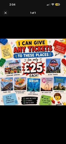 Merlin attraction - £25,