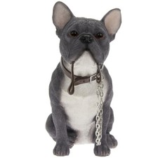Blue French Bulldog Frenchie