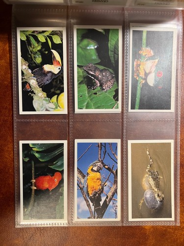 Grandee cigarette cards full - grandee,