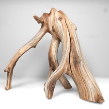 15.5" Manzanita Driftwood