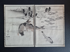 Antique c.1890 Japanese woodblock print - Koi Carp - Fish - Kikuchi Hobun