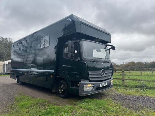 Mercedes 818 horse - mercedes,