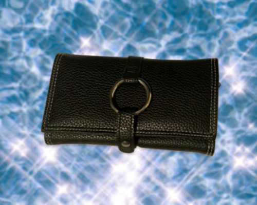 Prezerve jewelry carry case - carry,