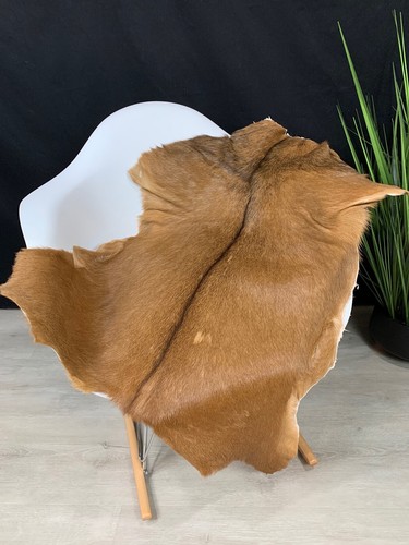 Natural goat skin - goat,
