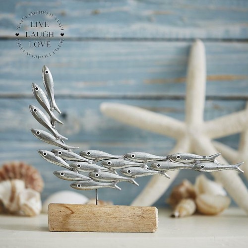 Mini shoal fish - shoal, of