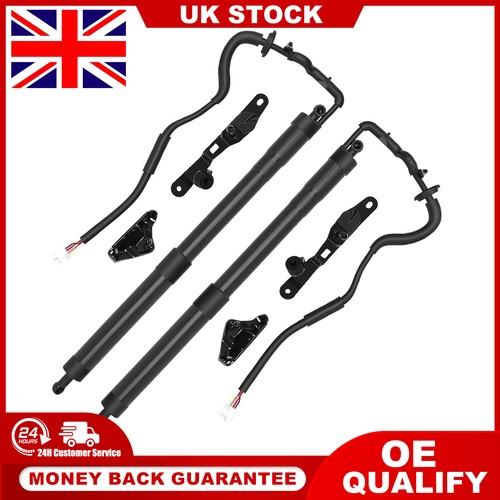 Rear electric tailgate gas - 2x,