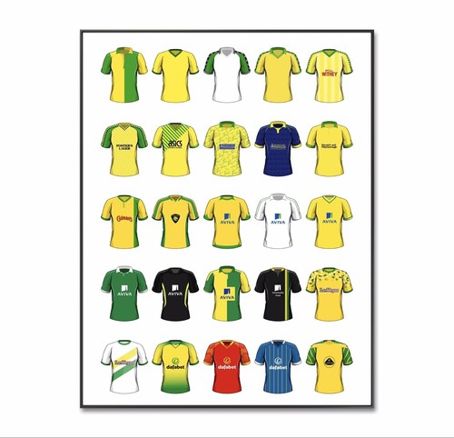 Norwich city football shirt - football,