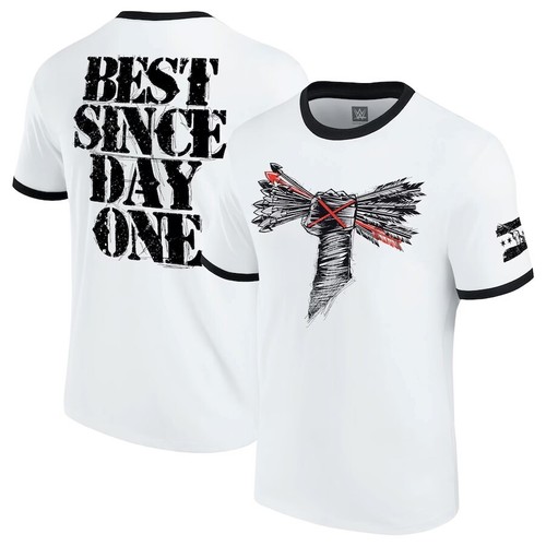 Wwe punk best - wwe, since