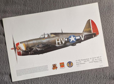 Squadron Print P-47D