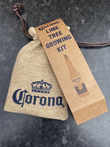 Corona lime tree growing - tree, kit