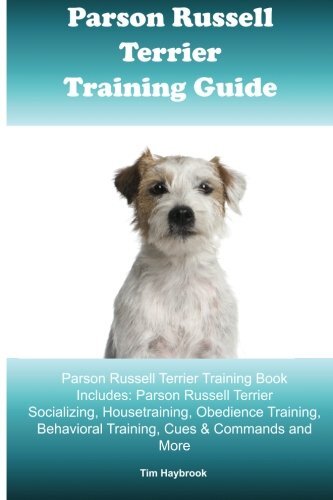 Parson russell terrier - parson,