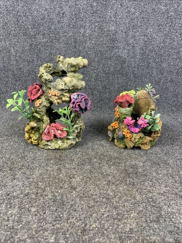 Set aquarium fish - set, 2