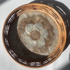 Vintage tray.A Capiz shell