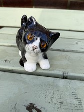 Winstanley Black And White Cat