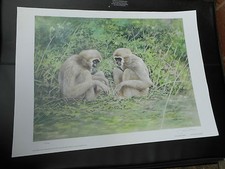 JOEL KIRK LARGE LIMITED EDITION PRINT MONKEYS VGC LOW POST 