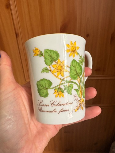Vintage elizabethan fine - elizabethan,