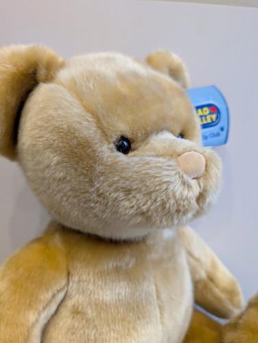 Chad valley cuddle club - 20",