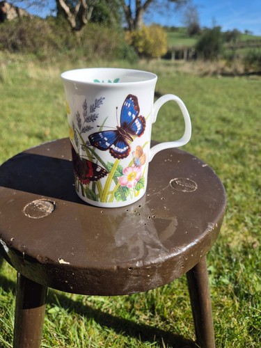 Roy kirkham fine bone china - kirkham,