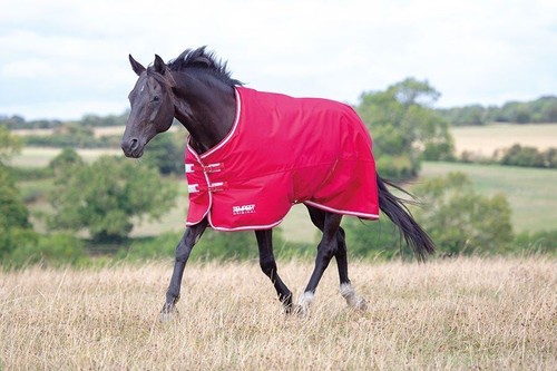 Shires tempest original air - tempest,