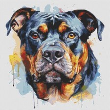 American Bully Puppy Dog