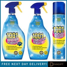 1001 CARPET STAIN REMOVER