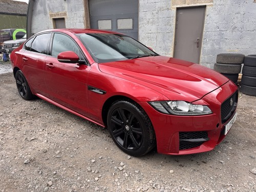 Jaguar r sport x260 - jaguar, r-sport
