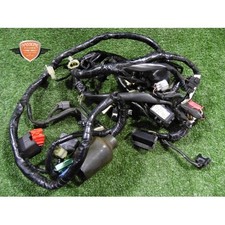Main wiring harness Honda