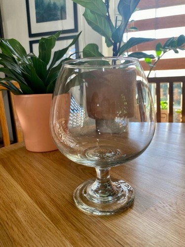 Brandy cognac glass with - cognac,