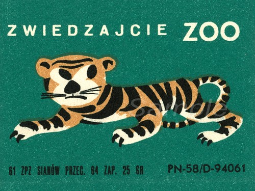 Polish zoo tiger safety - polish,