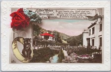 Postcard Rare 1929 Irish Free