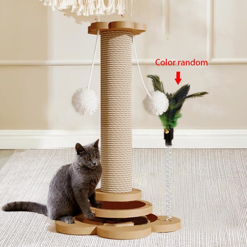 74cm tall cat scratching - cat,
