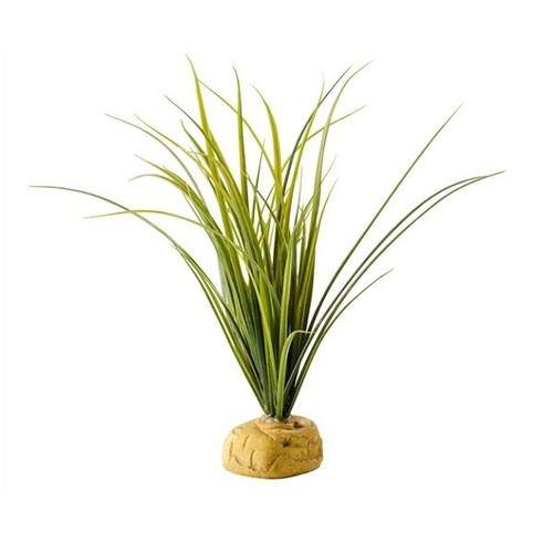 Exo terra turtle - exo, grass