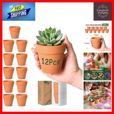 Creative 12-Pcs Mini