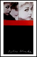 Peter Blake Kim Novak Wall
