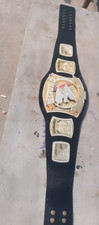 World Heavyweight Spinner