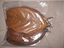 DRIED JACK FRUIT  LEAVES Organic Bio Film Shrimp Aquarium | Water | Pure LEAVES