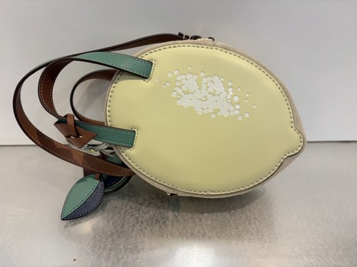 Brand new radley - radley,