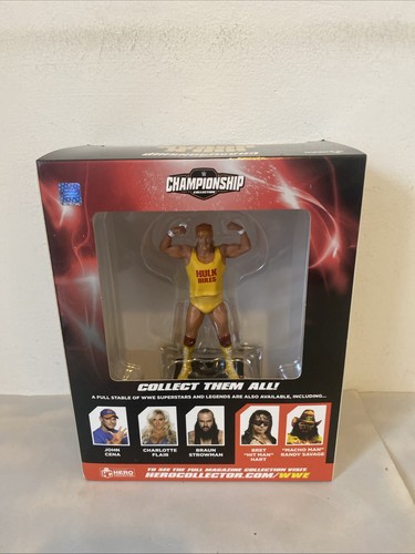 Hulk hogan championship - hulk,