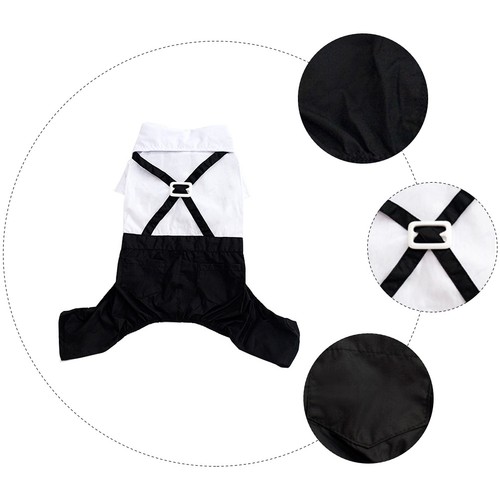 Pet formal wear - pet,