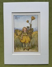‘Buttercup’ Flower Fairy
