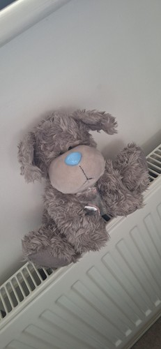 Tatty teddy puppy plush - tatty, me